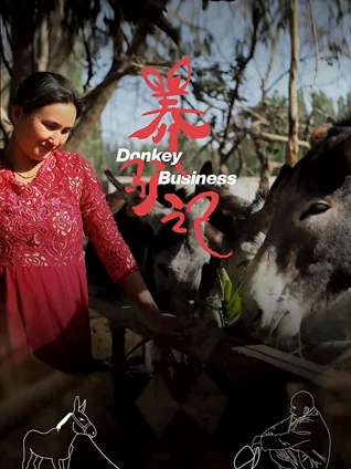 2021年新疆作品展养驴记