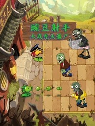 豌豆射手大战秃头僵尸