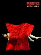 2025年最新电视剧